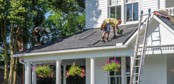 Best Emergency Roof Repair Services  in Nelsonville, OH